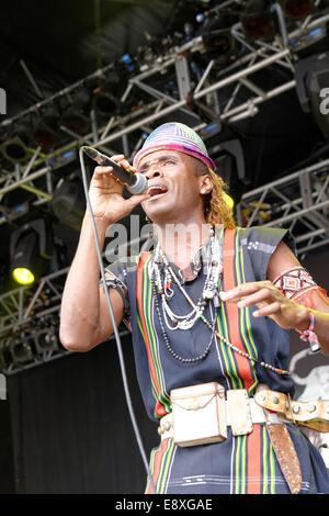 Justin Vali et Ny Malagasy, BBC Radio 3, 2014 Womad Festival des musiques du monde. Banque D'Images