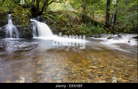 L'Aira Beck à la limite supérieure au-dessus des chutes, près de l'Aira Force Dockray, Lake District, Cumbria Banque D'Images