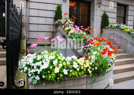Porte d'entrée et de fleurs Banque D'Images