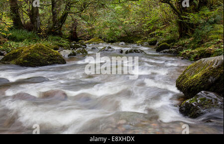 L'Aira Beck à la limite supérieure au-dessus des chutes, près de l'Aira Force Dockray, Lake District, Cumbria Banque D'Images