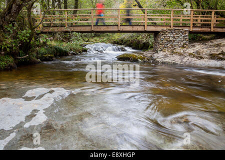 Deux marcheurs traverser un pont sur l'Aira Beck à la limite supérieure au-dessus des chutes, près de l'Aira Force Dockray, Lake District, Cumbria Banque D'Images