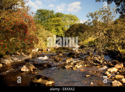 Rocky River lit dans la vallée isolée Banque D'Images