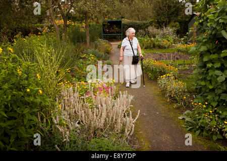 Royaume-uni, Angleterre, Warwick, Warwickshire, près de la colline des jardins, personnes âgées visiteur dans le jardin floral Banque D'Images