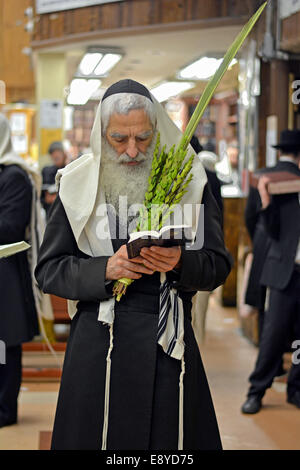 La bénédiction de l'homme juif religieux et Lulv esrog dans une synagogue de Brooklyn, NY pendant la fête juive de Souccot. Banque D'Images