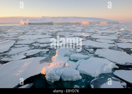 La lumière du soleil du matin sur la banquise à la mer de Ross avec un iceberg dans l'arrière-plan, l'Antarctique. Banque D'Images