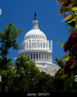 Capitol Building entourée d'arbres Banque D'Images