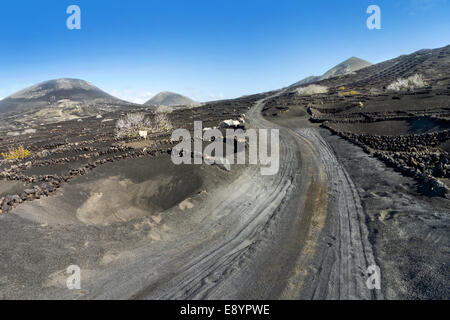 Lanzarote - de l'aire de production La Geria Banque D'Images