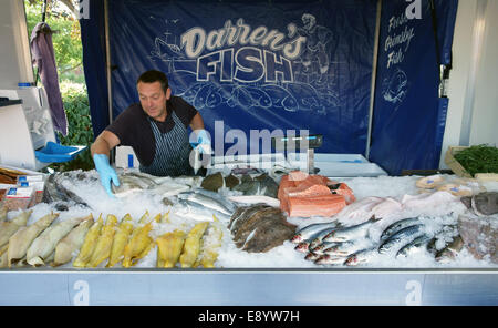 Un décrochage des poissonniers dans un petit marché en Bourne Lincolnshire England UK Banque D'Images