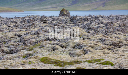 Vue détaillée de l'horizon des champs de lave en Islande Banque D'Images