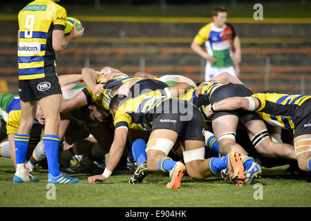 Sydney, Australie. 16 octobre, 2014. Sydney Stars nourrir une mêlée à Leichhardt Oval à Sydney. Credit : MediaServicesAP/Alamy Live News Banque D'Images