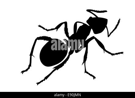 Ant silhouette sur fond blanc Banque D'Images