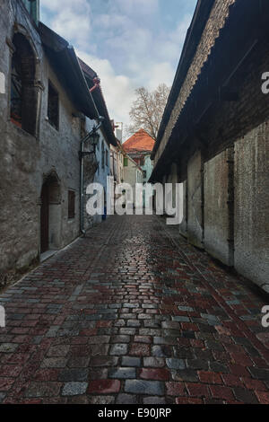 Katarina street à Tallinn Banque D'Images