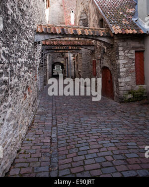 Katarina street à Tallinn Banque D'Images