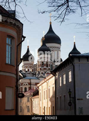 La cathédrale Alexandre Nevsky Banque D'Images