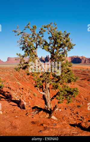 Monument Valley Banque D'Images