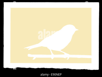 Dimensions sparrow sur branch Banque D'Images