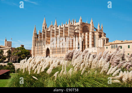 Cathédrale de Palma de Mallorca Banque D'Images