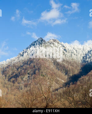 Chimney Tops dans la neige en smokies Banque D'Images