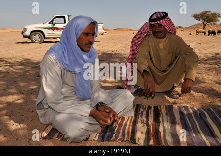 Deux hommes arabes bédouines sur relaxant en générales traditionnelles ombre d'acacia du désert du Sinaï, Égypte Banque D'Images