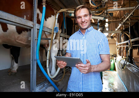 Producteur de lait Using Digital Tablet In Milking Shed Banque D'Images