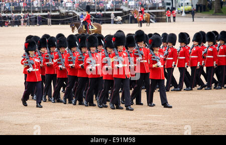 London, Greater London, Angleterre. Protège-pieds de la Division à la personne marchant en formation à l'examen du Colonel cérémonie. Banque D'Images