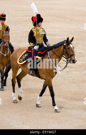 London, Greater London, Angleterre. Ride-passé de la troupe du Roi, Royal Horse Artillery, à l'examen du Colonel cérémonie. Banque D'Images