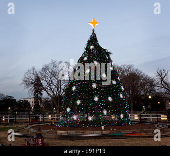 Arbre de Noël national à DC Banque D'Images