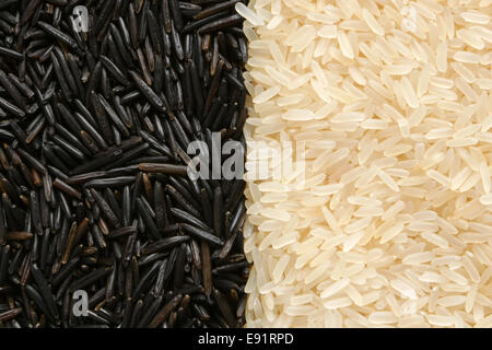 Riz Noir et blanc Banque D'Images