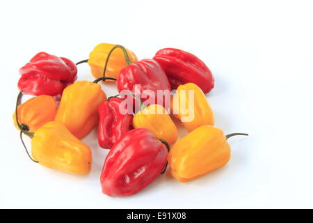 Piment lanterne rouge et jaune Banque D'Images