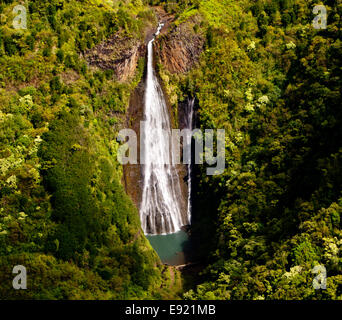 Manawaiopuna Falls à Kauai Banque D'Images