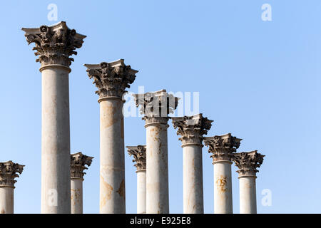 Dans les colonnes du Capitole National Arboretum DC Banque D'Images