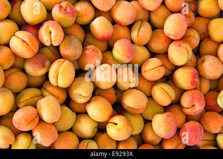Abricots à un marché de producteurs Banque D'Images