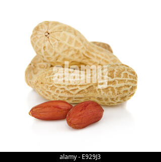 Gousses d'arachides withs seeds isolated on white Banque D'Images