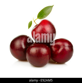 Tas de fruits prunes mûres isolated on white Banque D'Images