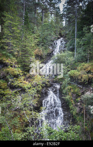 Cascade sur l'Allt Ladaidh à Glengarry en Ecosse. Banque D'Images