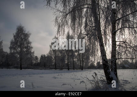 Paysage d'hiver à la périphérie de Berlin Banque D'Images