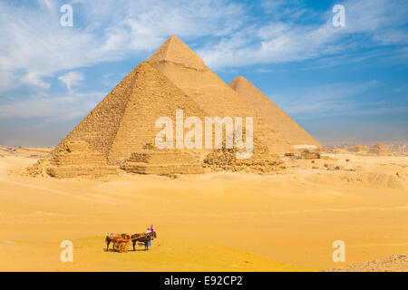 Tous les pyramides de Gizeh La famille des ânes Banque D'Images