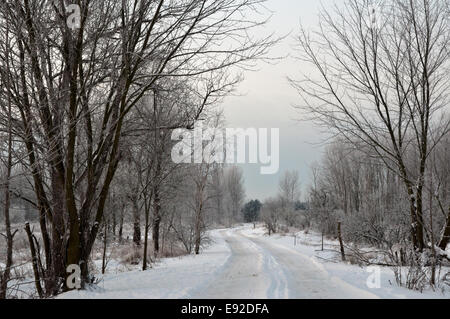 Hobrechtswald trail en hiver Banque D'Images