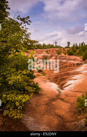 Cheltenham Badlands. Situé dans la région de Caledon (Ontario) Canada ce sol de couleur rouge est le résultat de dépôts d'oxyde de fer. Banque D'Images