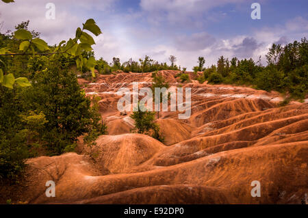 Cheltenham Badlands. Situé dans la région de Caledon (Ontario) Canada ce sol de couleur rouge est le résultat de dépôts d'oxyde de fer. Banque D'Images