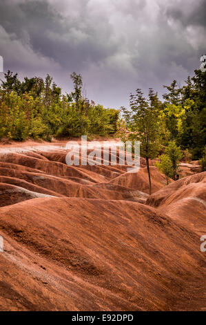 Cheltenham Badlands. Situé dans la région de Caledon (Ontario) Canada ce sol de couleur rouge est le résultat de dépôts d'oxyde de fer. Banque D'Images