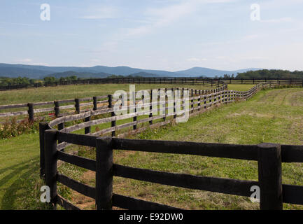 Prairies vallonnées avec barrières en bois et collines Banque D'Images