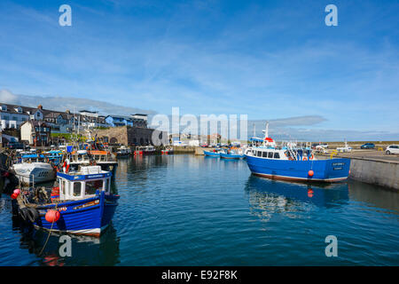 Port de Seahouses sur Northumberland une belle journée claire avec une mer calme et bateaux amarrés aux quais jetées. Banque D'Images