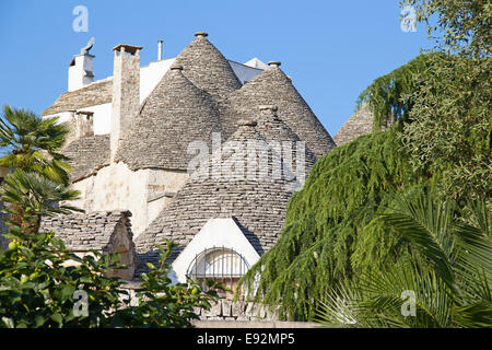'Trulli' traditionnelles maisons de la région des Pouilles Banque D'Images