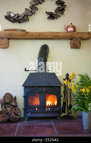 Poêle à bois Banque D'Images