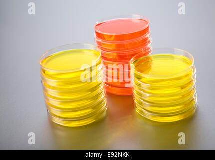 Trois piles de boîtes de pétri dans un laboratoire. Deux jaunes et un rouge. Banque D'Images