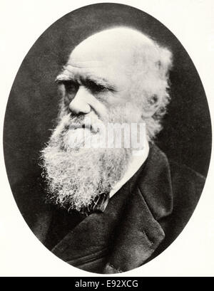 Charles Darwin (1809-82), naturaliste anglais, Portrait, circa 1878 Banque D'Images