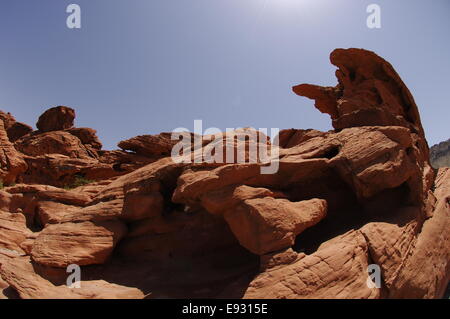 Les ruches de grès, dans la Vallée de Feu State Park, Nevada, USA Banque D'Images