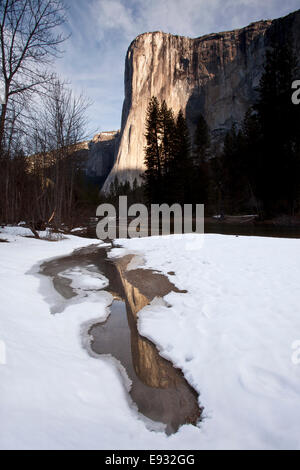 El Capitan reflétée dans un bassin le long de la rivière Merced, Yosemite National Park, Californie.