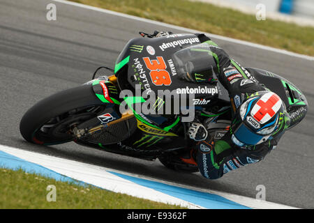 Phillip Island, Victoria, Australie. Samedi, 18 octobre, 2014. Bradley Smith, Monster Yamaha Tech 3 l'équipe de MotoGP. Libres 4. Smith qualifié dans la quatrième place pour le dimanche Le Grand Prix Moto d'Australie Tissot. Credit : Russell Hunter/Alamy Live News Banque D'Images